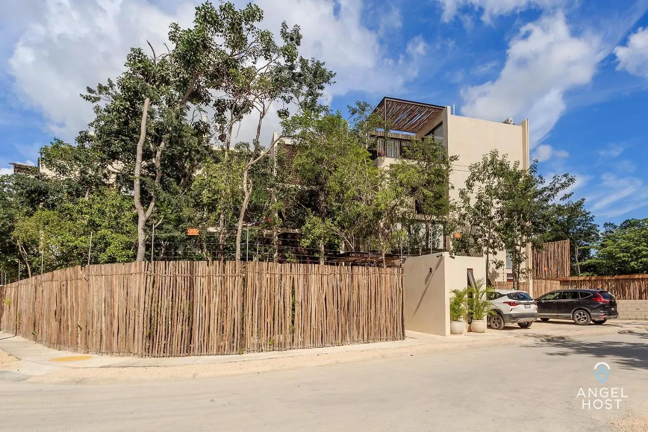 Apartment Eco-Designed & Nature-Infused Units By Stella Rentals Tulum Mexico