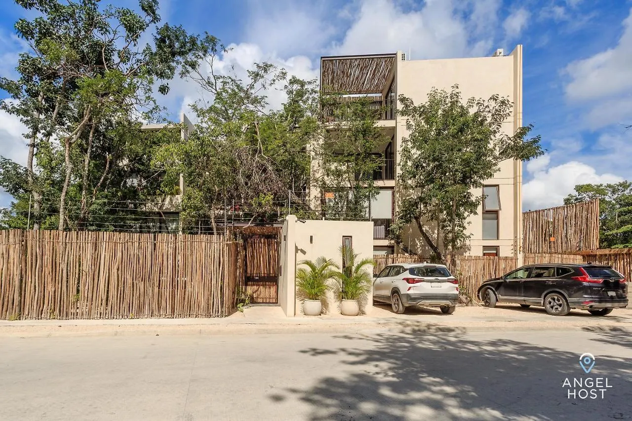 Eco-Designed & Nature-Infused Units By Stella Rentals Tulum